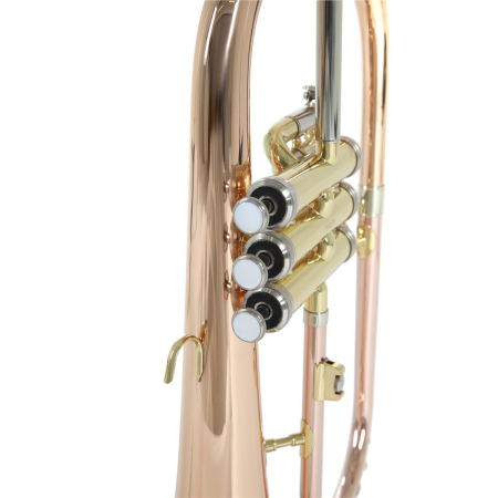 Flugelhorn Roy Benson FH-302G Bb -74363