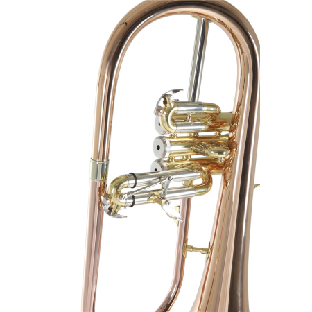 Flugelhorn Roy Benson FH-302G Bb -74364