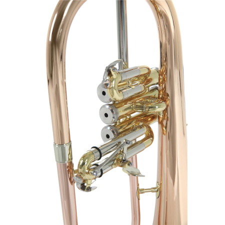 Flugelhorn Roy Benson FH-302G Bb -74366