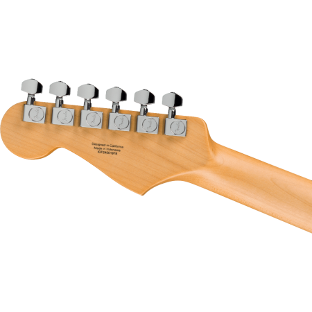 Fender Standard Stratocaster Candy Cola - New 2025-79839