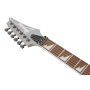 Ibanez RG450DX-CSV- Classic Silver Limited Edition-80457