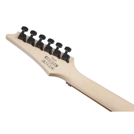 Ibanez RG450B-WK gitara elektryczna Weathered Blk-81694