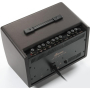 Ibanez Troubadour Acoustic Amplifier - 30 Watt-82628