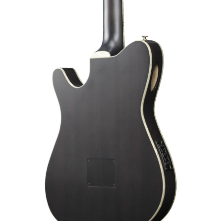 Ibanez TOD10N-TKF Tim Henson Sign.Nylon String-82728