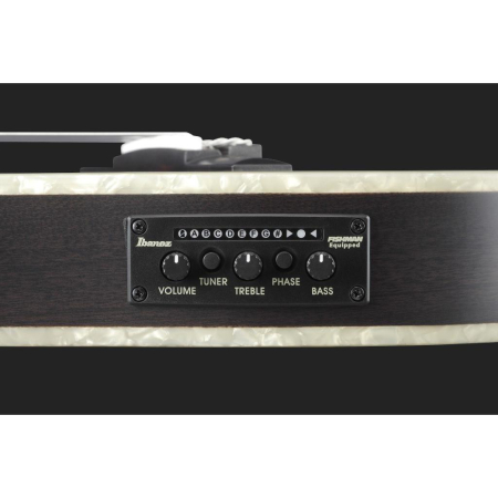 Ibanez TOD10N-TKF Tim Henson Sign.Nylon String-82731