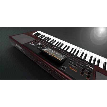 Korg PA-1000 profesjonalny aranger keyboard, MP3 -83238