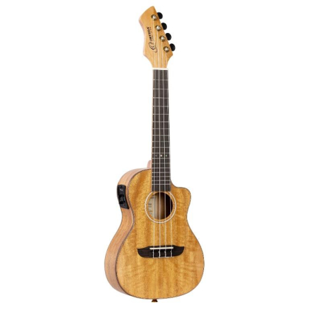 Ukulele Ortega Horizon Series Concert RUMG-CE+Bag-83771