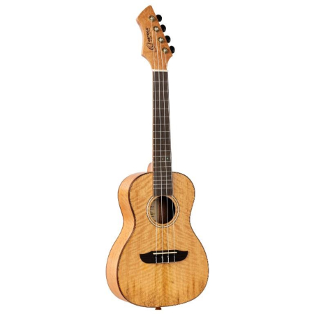 Ukulele Ortega Horizon Series Concert RUMG+Bag-83776