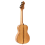 Ukulele Ortega Horizon Series Concert RUMG+Bag-83777
