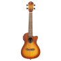 Ukulele Ortega Earth Series Concert RUDAWN-CE-83783