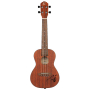 Ukulele Ortega Bonfire Series Concert RU5MM-83919