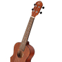 Ukulele Ortega Bonfire Series Concert RU5MM-83921