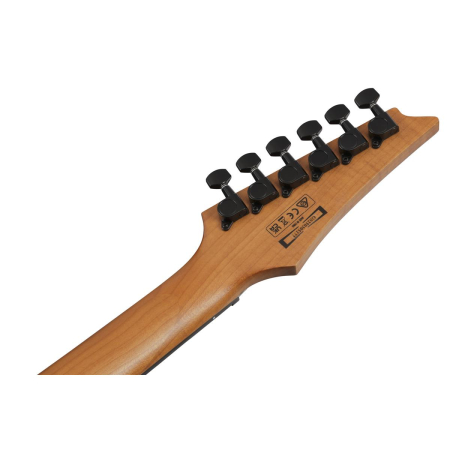 Ibanez GRGR221FA-TDK Transparent Indigo Black-84445