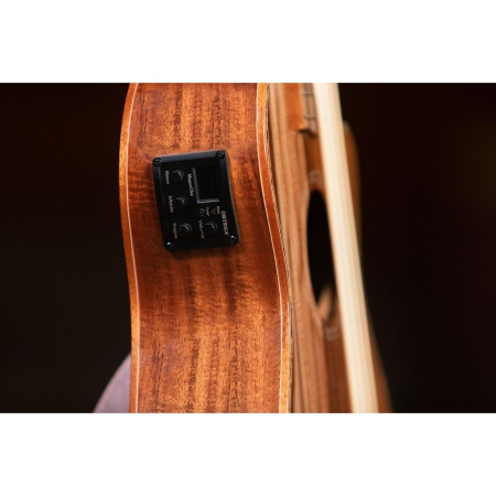 Ukulele basowe Ortega CAIMAN-BS-GB Lizard Series-84991