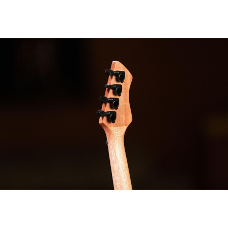 Ukulele Ortega RUHZ-MM Horizon Series Concert-85013