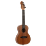 Ukulele Ortega RUHZ-MM Horizon Series Concert-85008