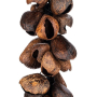 Meinl Percussion WA5 Pangi Waterfall Shaker-85355