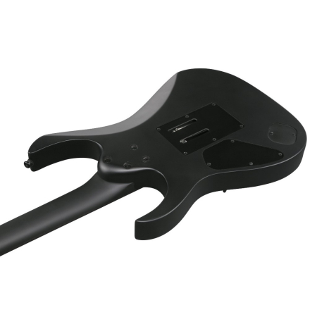 Ibanez RGRB620-BKF Iron Label - EXPO-85455