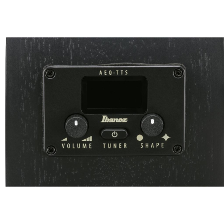 Ibanez AEG621-BOT gitara elektroakustyczna-85875