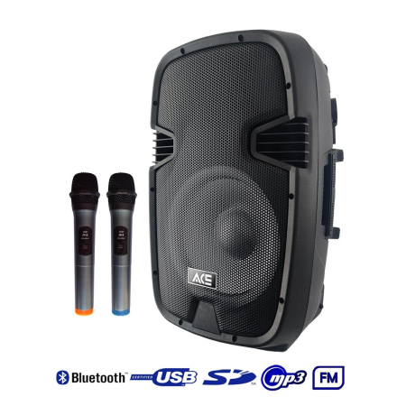 Przenośny mobilny głośnik + 2 mkirofony PP-12 UHF-86777