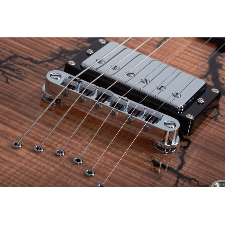 Schecter V-1 Electro-Resin Gloss Natural EXPO-86943