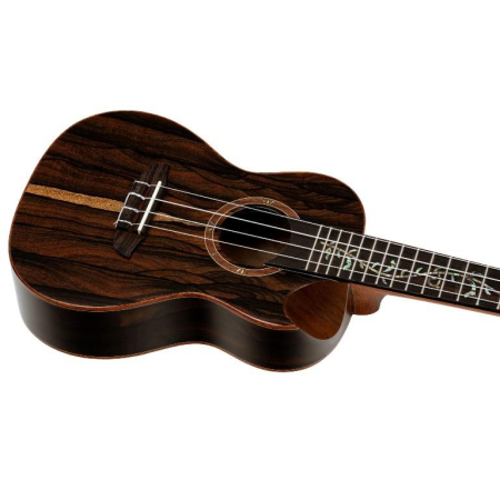 Ukulele Ortega RUET-ZC Elite Series Concert W/BAG-87922
