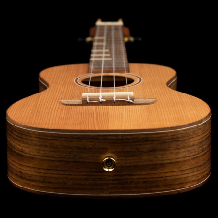 Ukulele Ortega RUTI-CC Timber Series Concert W/BAG-87937
