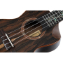 Ukulele Ortega RUET-ZC Elite Series Concert W/BAG-87923