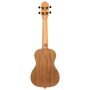 Ukulele Ortega RUTI-CC Timber Series Concert W/BAG-87935