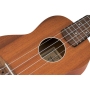Ukulele Ortega Timber Series RFU10S Sapele W/BAG-89089