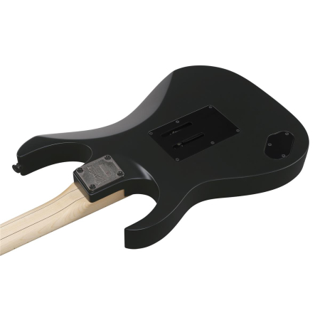 Ibanez RG550-BKF Genesis Collection Black Flat-89182