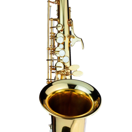 Saksofon altowy Trevor James 371A2 dziecięcy Eb -89539