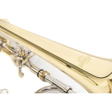 Roy Benson Puzon tenorowy Bb/F TT-236F-90284