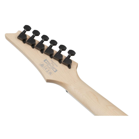 Ibanez RG421DX-TWS Twilight Shade Electric Guitar-90310