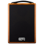 GR Guitar WD Acoustic 6 - combo do gitary 120W-90403